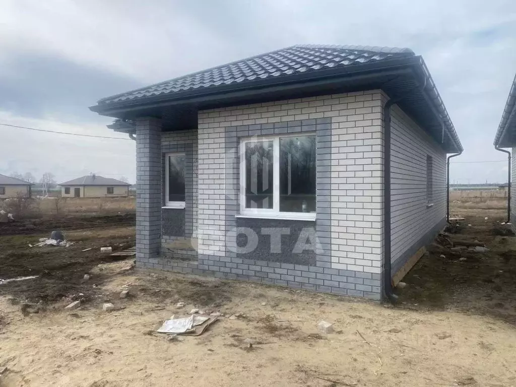 Дома в александровке новоусманского. Село Александровка Воронежская область Таловский район.