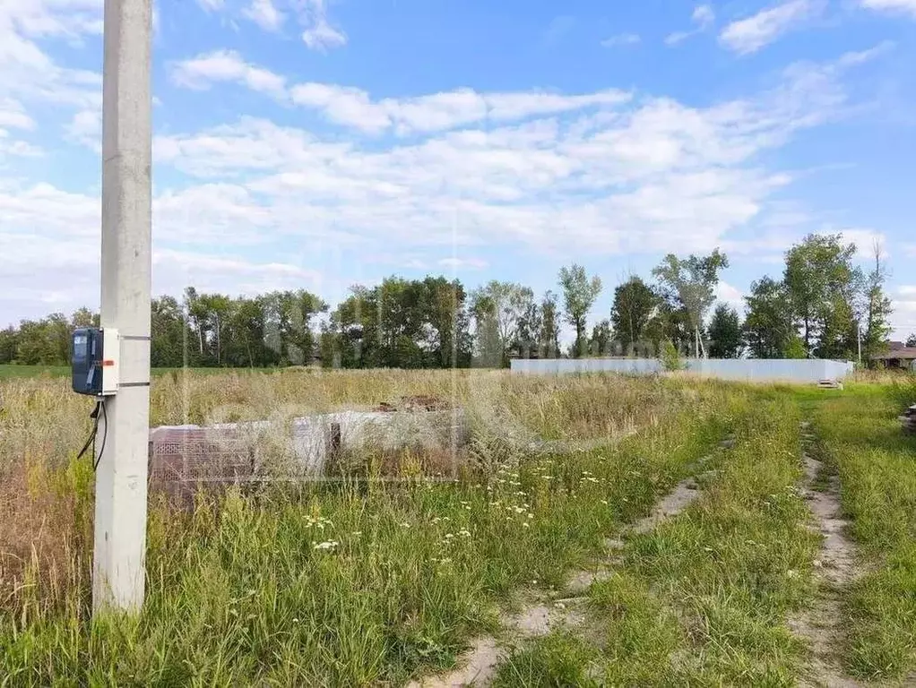 Участок в Воронежская область, с. Новая Усмань ул. Вербная, 33 (12.0 ... - Фото 1