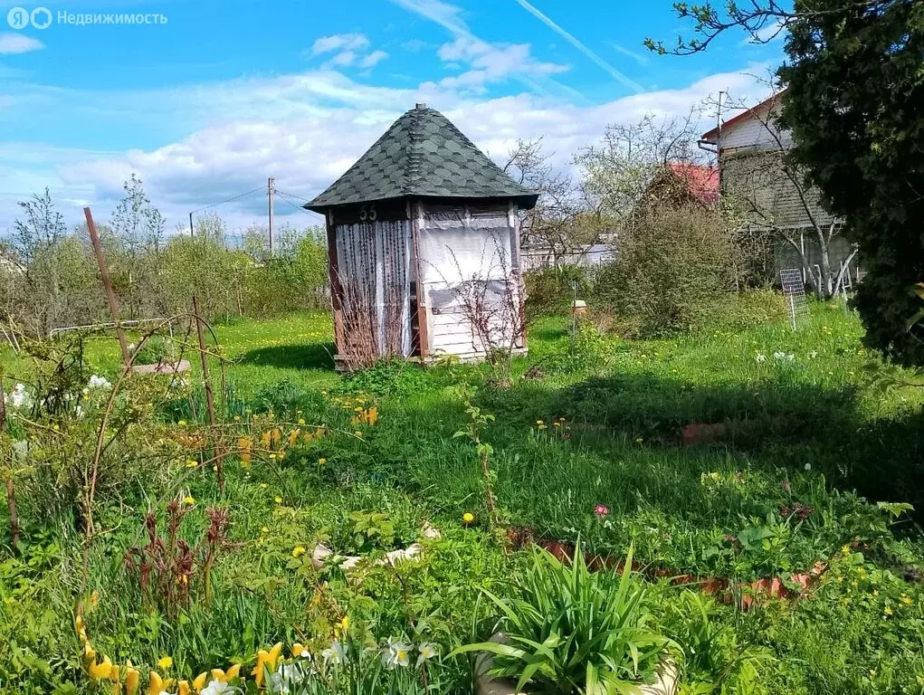 Купить Дом В Новгородской Сырково