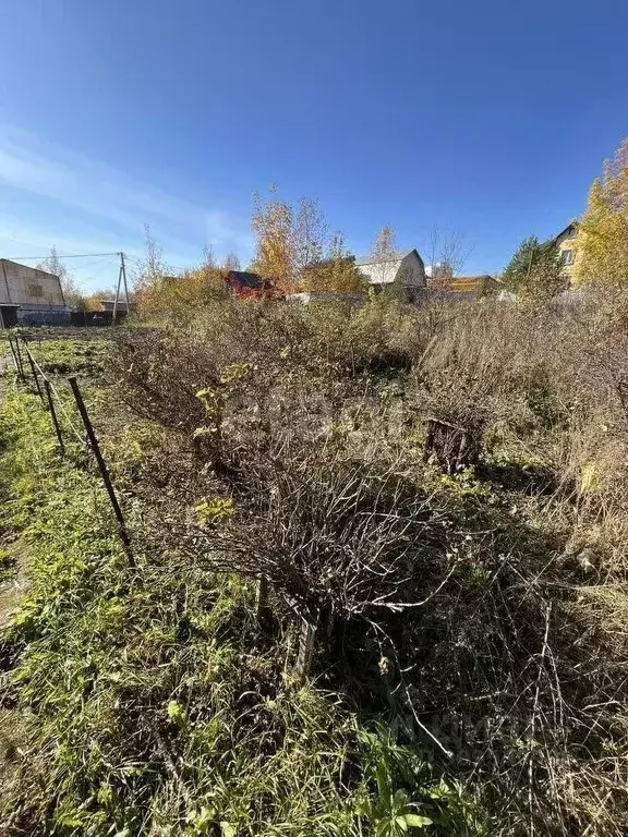 Участок в Новосибирская область, Новосибирск Ветеран СНТ, ул. Садовая ... - Фото 1