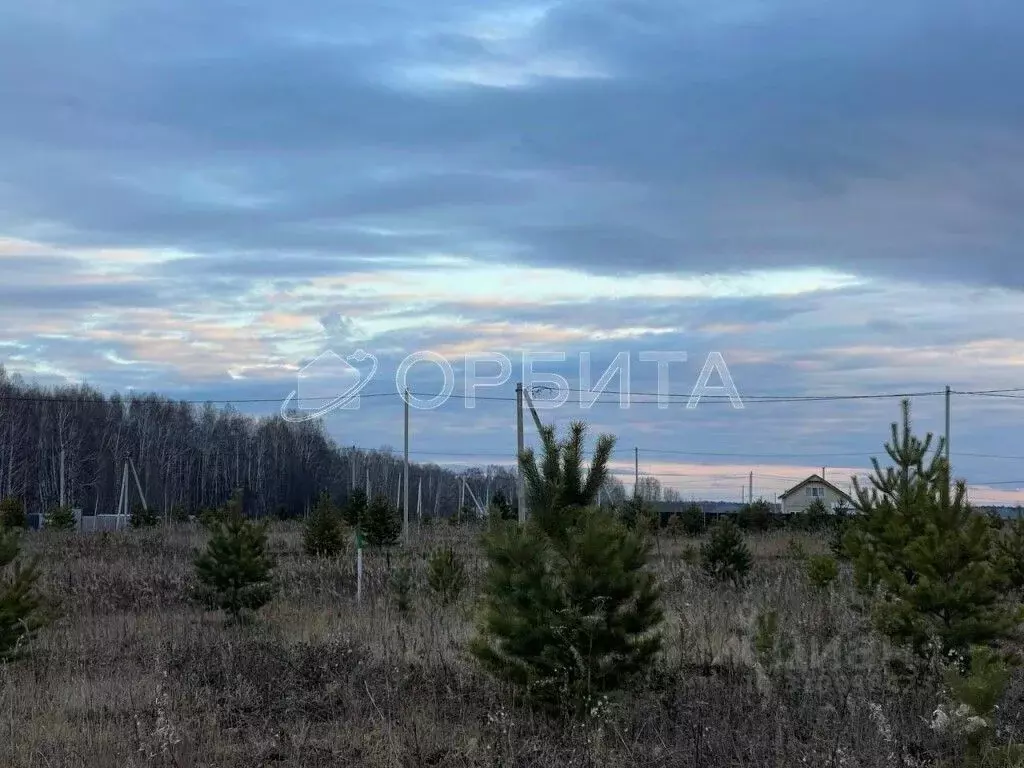 Участок в Тюменская область, Тюменский район, д. Елань  (8.0 сот.) - Фото 1