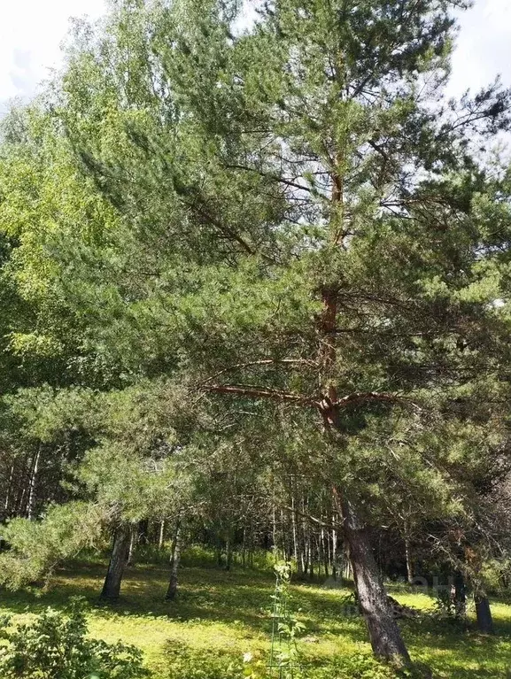 Коттедж в Тверская область, Кимрский муниципальный округ, д. Кадниково ... - Фото 1