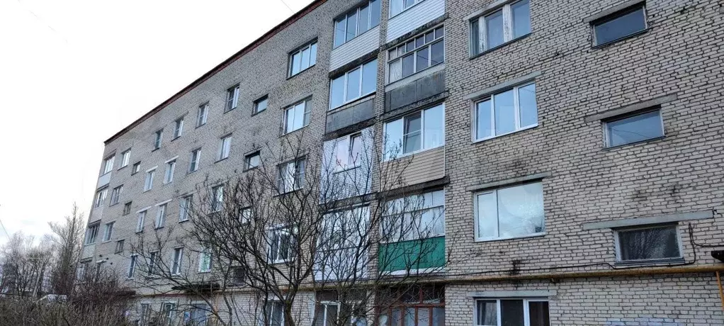 3-к. квартира, 61,6 м, 3/5 эт. - Фото 0