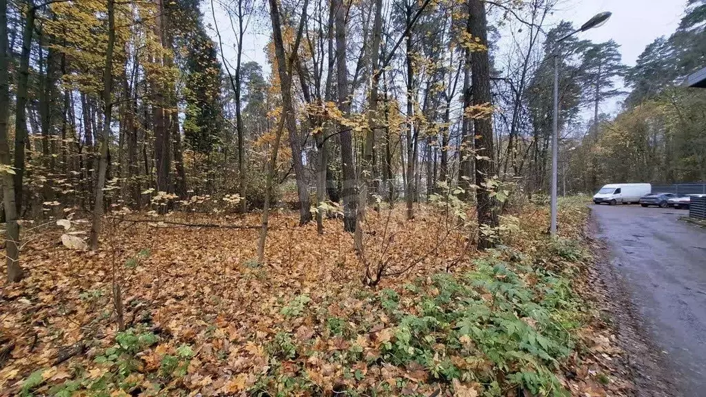 Участок в Московская область, Королев Первомайский мкр, Советская ул. ... - Фото 1