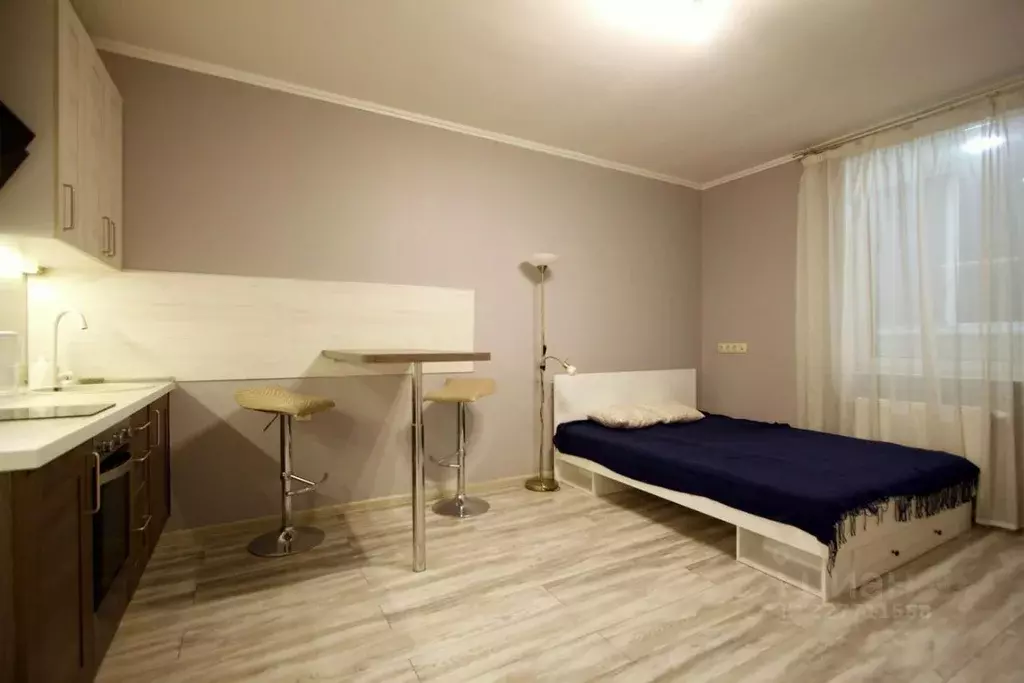 Студия Московская область, Реутов Носовихинское ш., 37 (26.3 м) - Фото 2