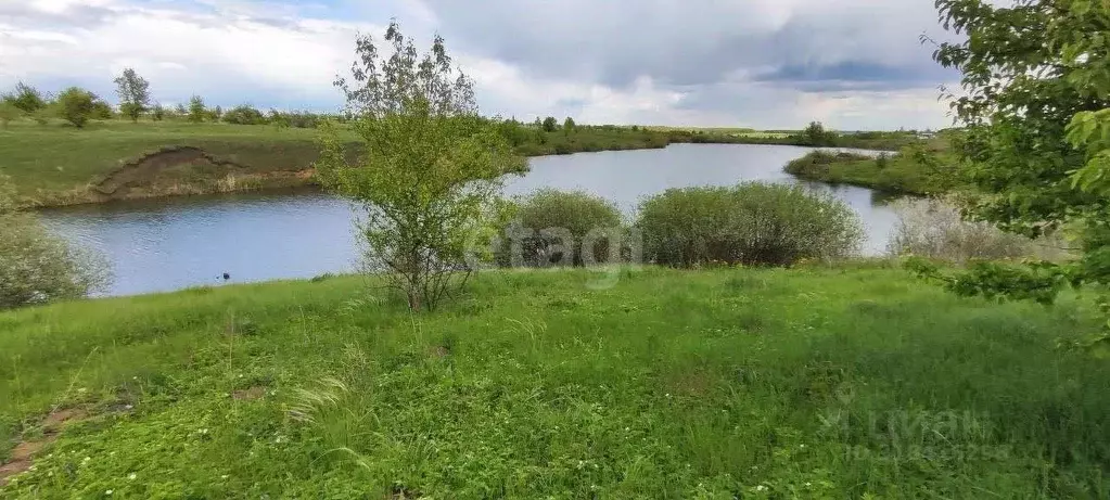 Участок в Воронежская область, Рамонский район, с. Русская Гвоздевка  ... - Фото 0