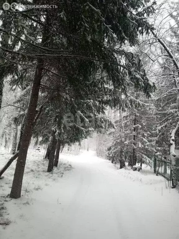 Дом в Черепановский район, Карасевский сельсовет (54.8 м) - Фото 1