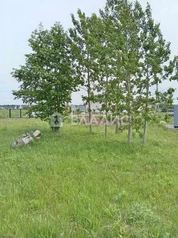 Участок в Калининградская область, Зеленоградский муниципальный округ, ... - Фото 2