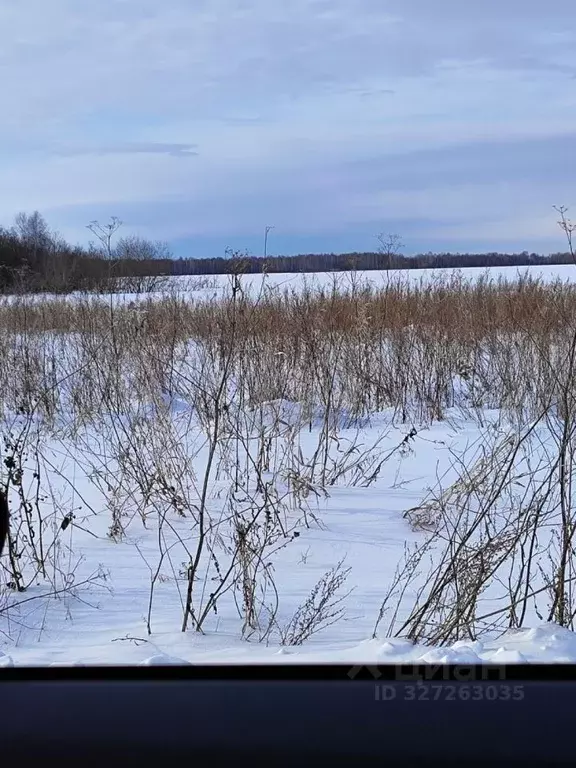 Участок в Тюменская область, Нижнетавдинский муниципальный округ, ... - Фото 2