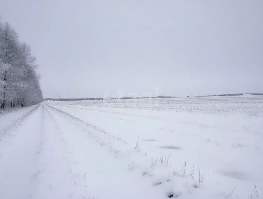 Участок в Тульская область, Тула городской округ, д. Медвенка, ... - Фото 1