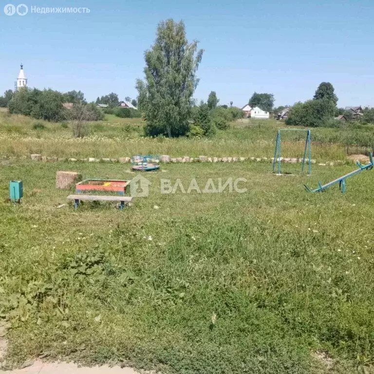 Участок в Суздальский район, муниципальное образование Селецкое, село ... - Фото 1