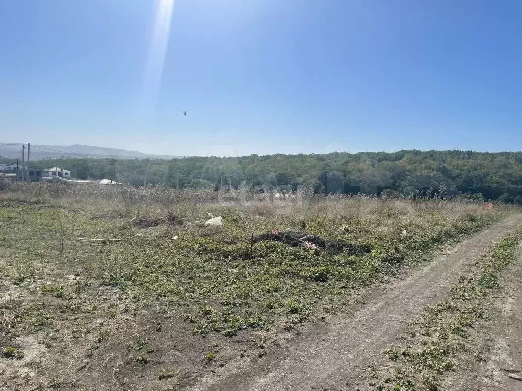 Участок 6 сот. (личное подсобное хозяйство (лпх)) - Фото 1