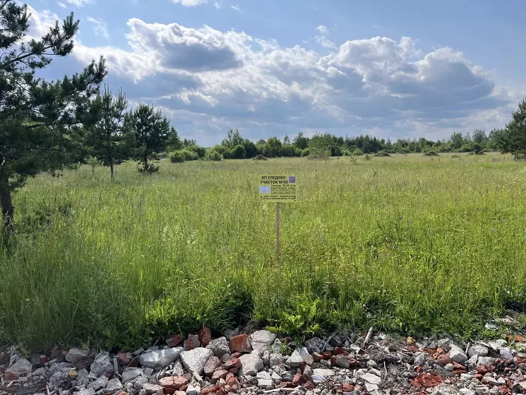 Участок в Московская область, Богородский городской округ, Следово кп ... - Фото 2