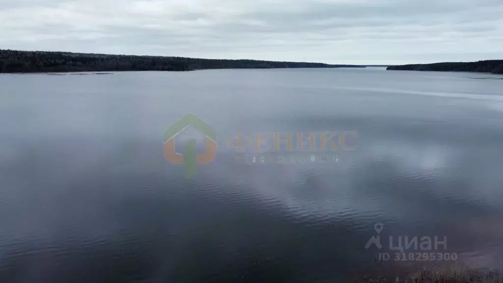 Участок в Ленинградская область, Кингисеппский район, Нежновское ... - Фото 1