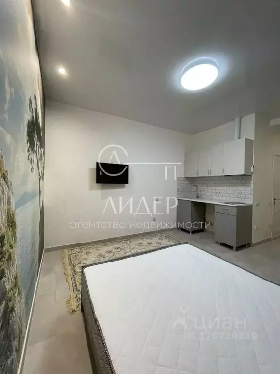 Студия Краснодарский край, Сочи ул. Ленина (17.0 м) - Фото 2