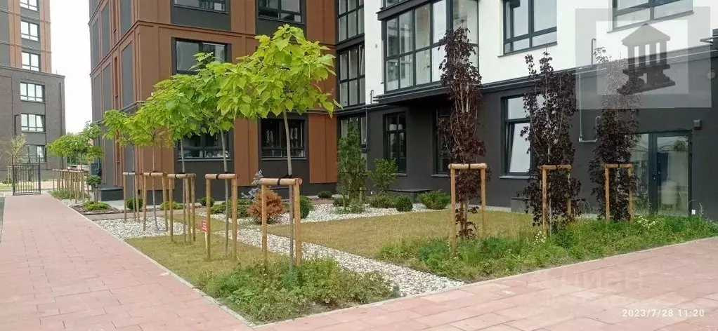 Студия Калининградская область, Калининград ул. Александра Невского, ... - Фото 0