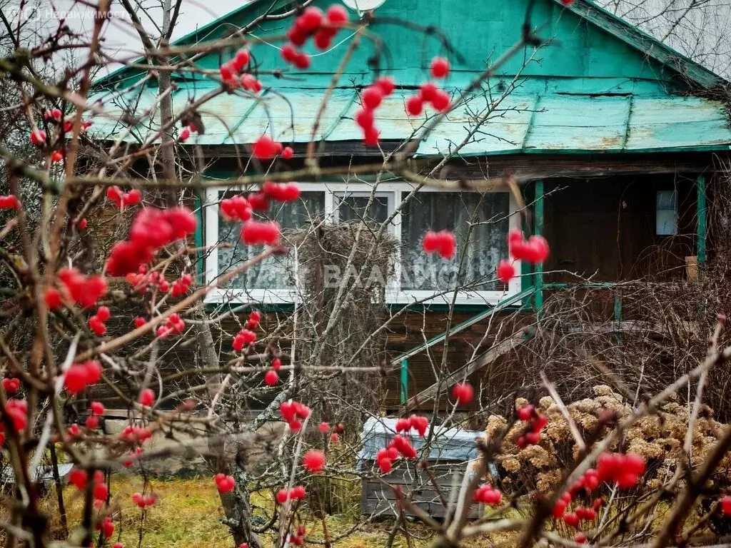 Дом в Владимирская область, городской округ Покров, деревня Дубровка, ... - Фото 2