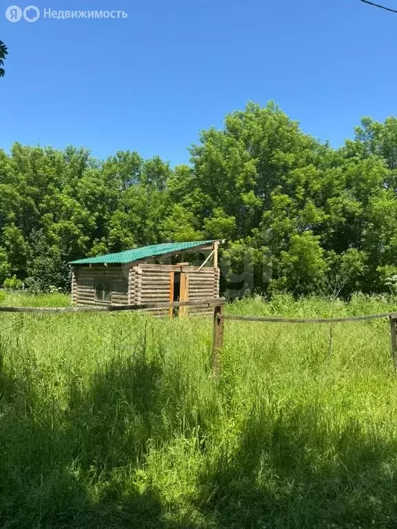 Участок в Алтайский район, Айский сельсовет, село Ая (9 м) - Фото 1