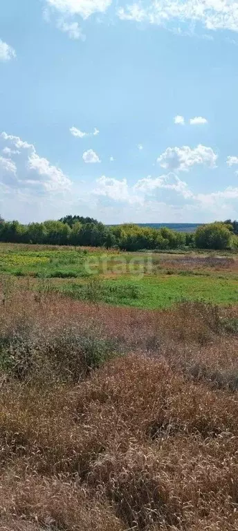 Участок в Белгородская область, Новооскольский муниципальный округ, с. ... - Фото 1