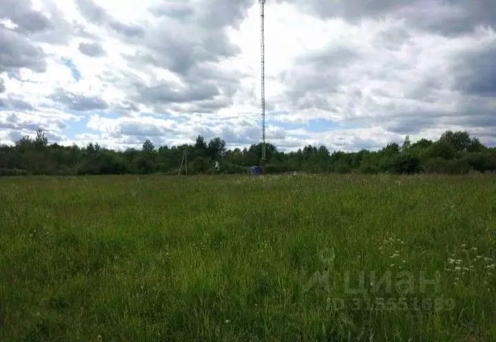 Участок в Новгородская область, Батецкий муниципальный округ, д. Новое ... - Фото 1