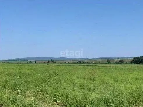 Участок в Краснодарский край, Новороссийск городской округ, ... - Фото 2