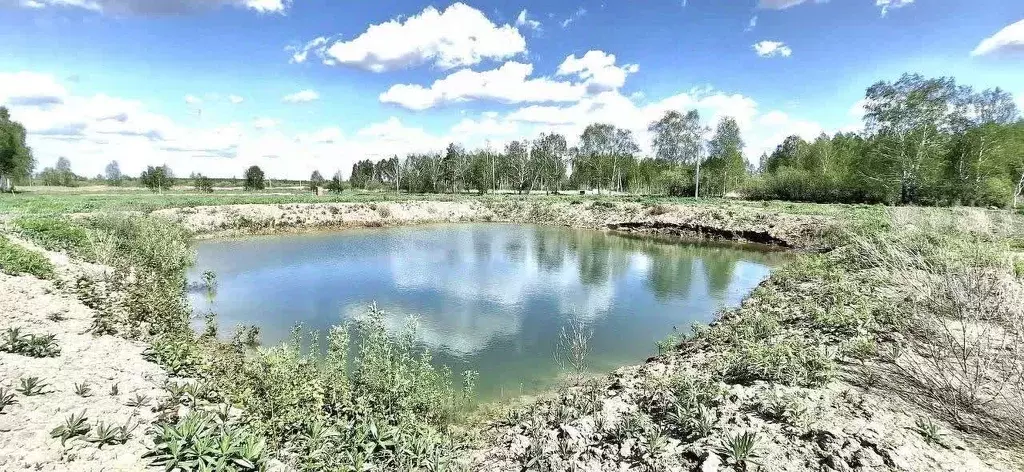 Участок в Тюменская область, Нижнетавдинский муниципальный округ, 7 ... - Фото 1