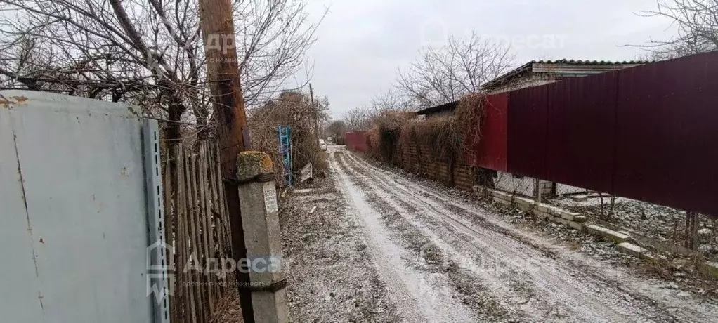 Участок в Волгоградская область, Волгоград 40 лет Октября СНТ, 1-й ... - Фото 1