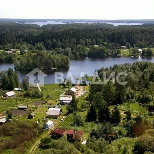 Участок в Ленинградская область, Приозерский район, Мельниковское ... - Фото 1