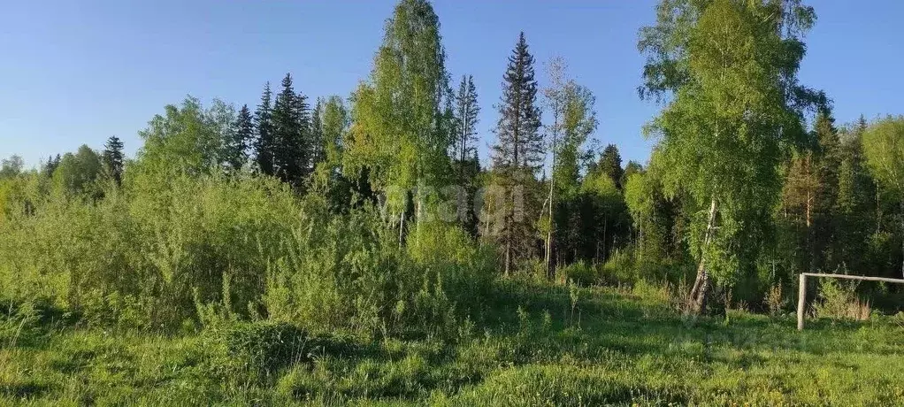 Участок в Томская область, Томск с. Тимирязевское, ул. Дальняя (5.0 ... - Фото 0