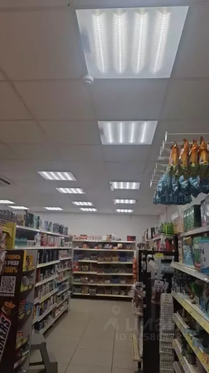 Помещение свободного назначения в Ростовская область, ... - Фото 1