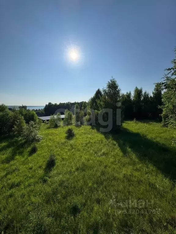 Участок в Костромская область, Красносельский муниципальный округ, ... - Фото 1