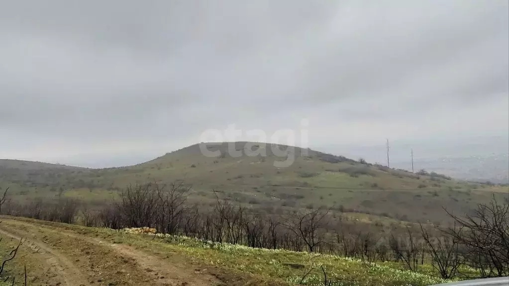 Участок в Крым, Феодосия муниципальный округ, с. Виноградное ул. ... - Фото 1