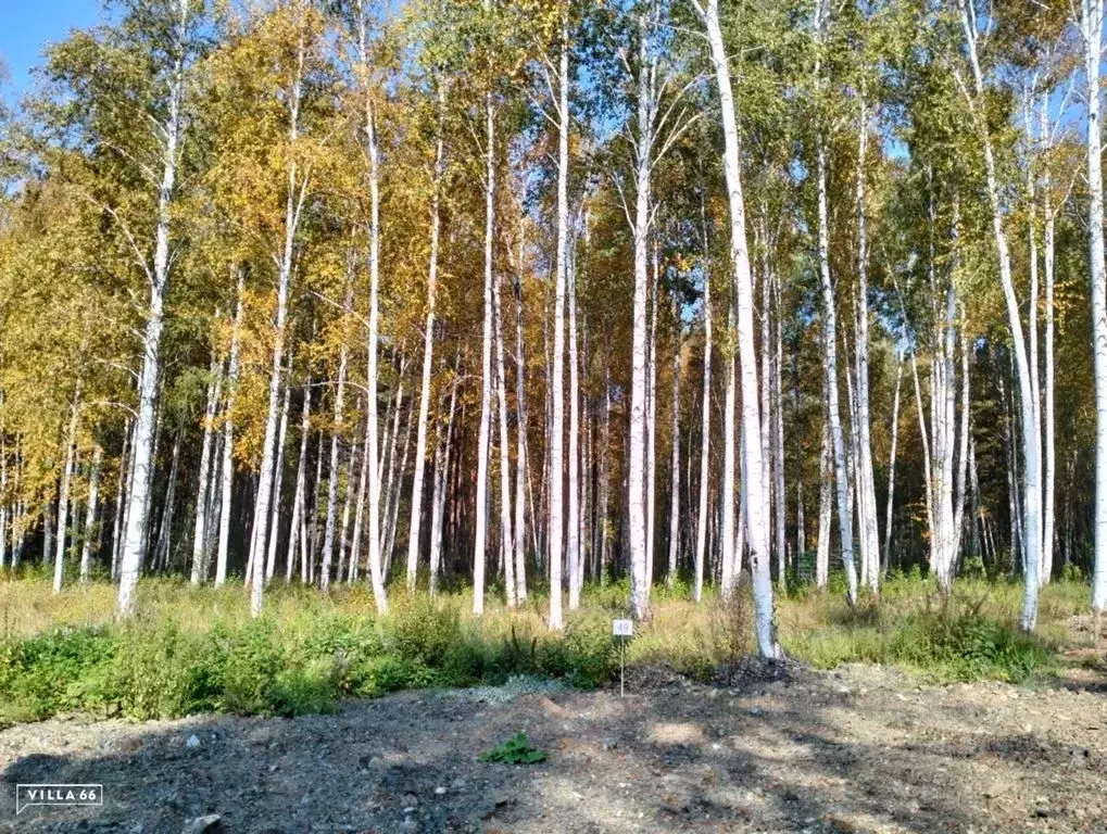 Участок в Свердловская область, Сысертский городской округ, пос. ... - Фото 0