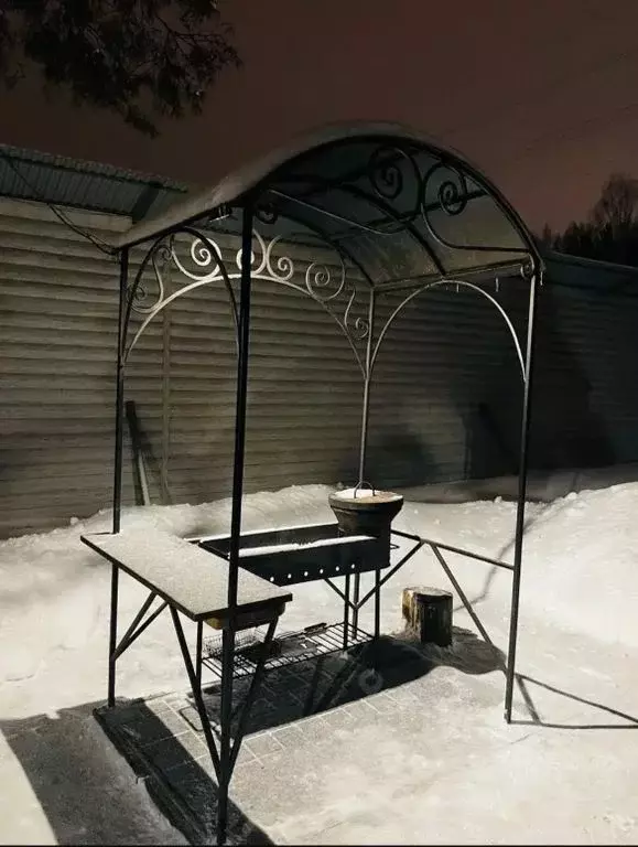 Дом в Томская область, Томск пос. Родник, ул. Приятная, 10 (200 м) - Фото 2