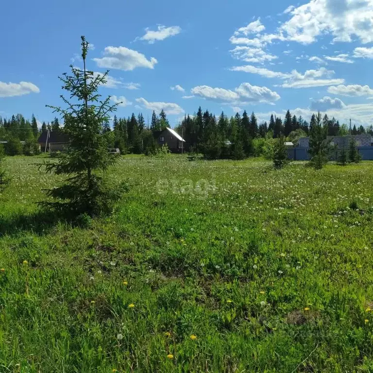 Участок в Удмуртия, Завьяловский район, д. Сизево ул. Радужная (8.0 ... - Фото 0