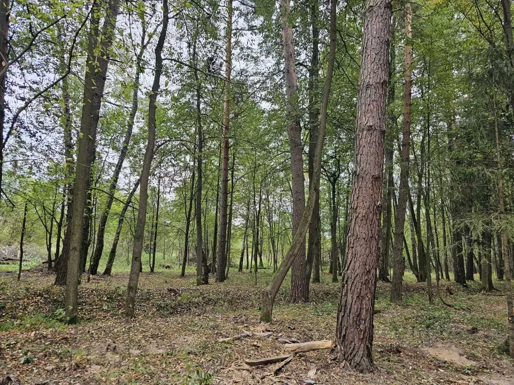 Участок в Московская область, Чехов городской округ, д. Прохорово  ... - Фото 1