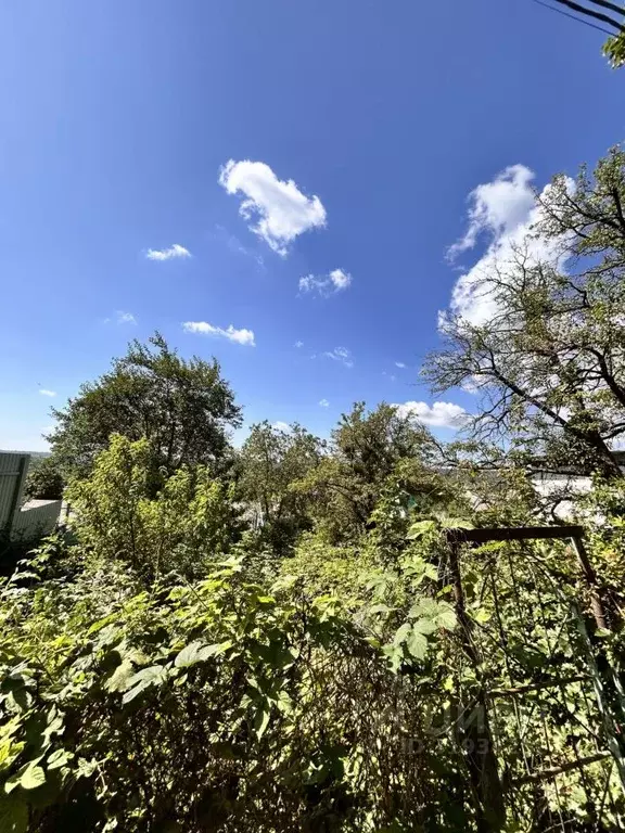 Участок в Ставропольский край, Ставрополь Дружба-2 садовое ... - Фото 2