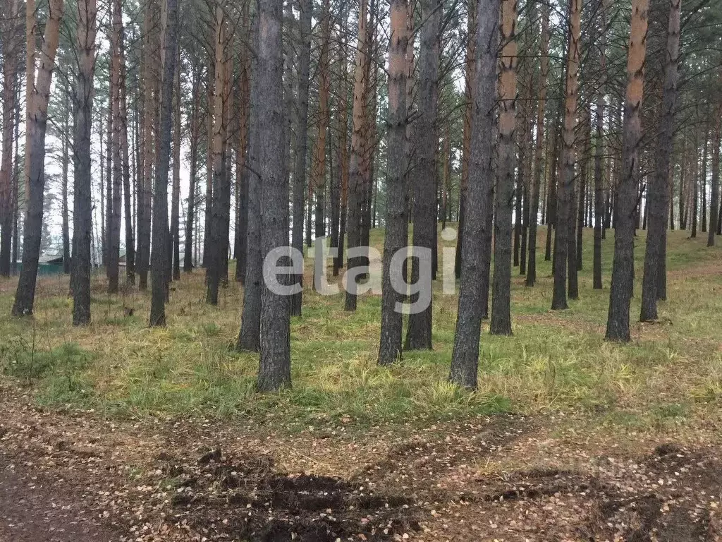 Участок в Красноярский край, Красноярск городской округ, пос. Минино  ... - Фото 1