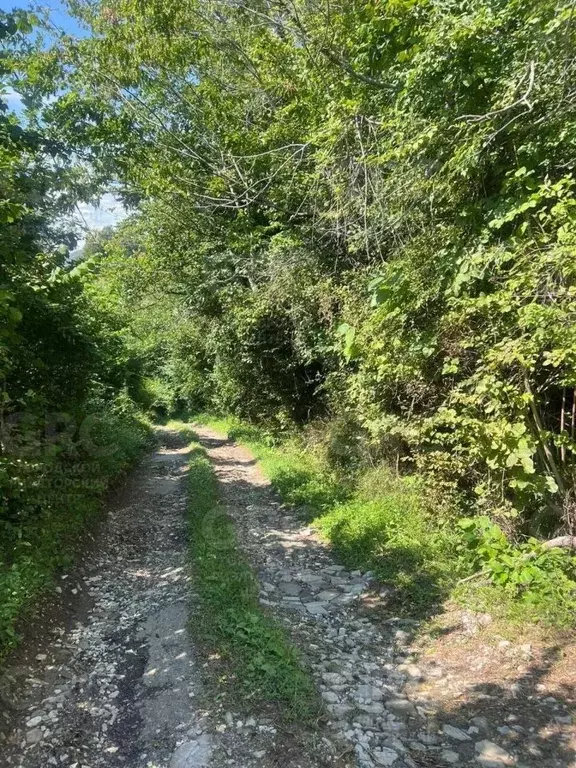 Участок в Краснодарский край, Сочи городской округ, с. Верхний Юрт ул. ... - Фото 2