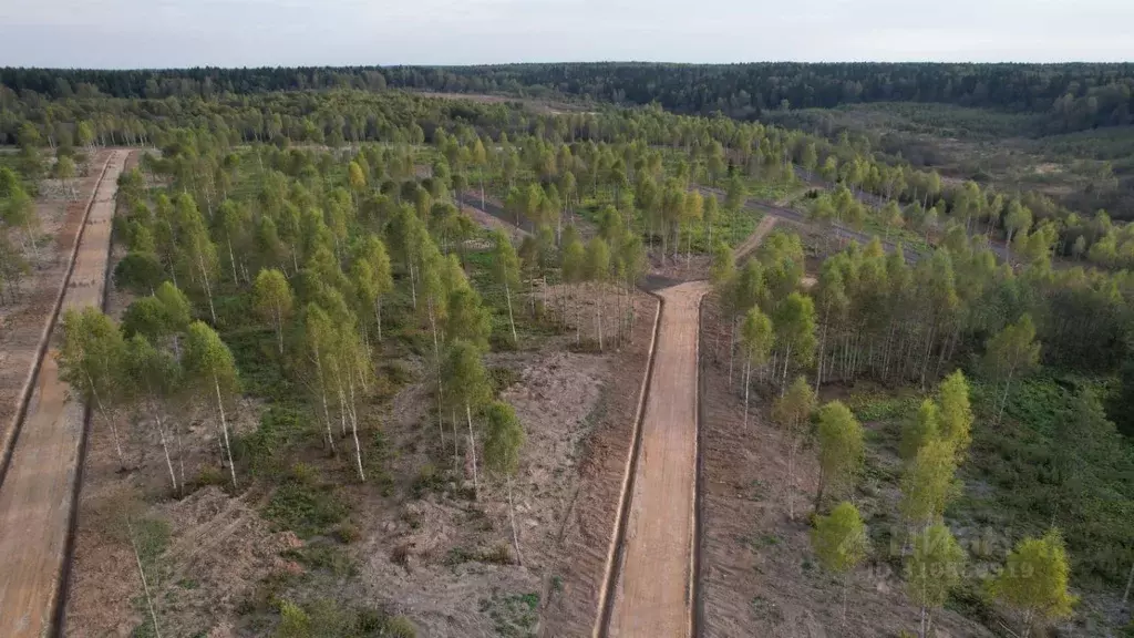 Участок в Московская область, Солнечногорск Октябрьская ул. (8.22 ... - Фото 0