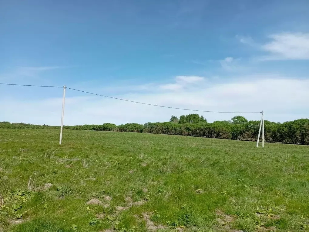 Участок в Калининградская область, Зеленоградский муниципальный округ, ... - Фото 1