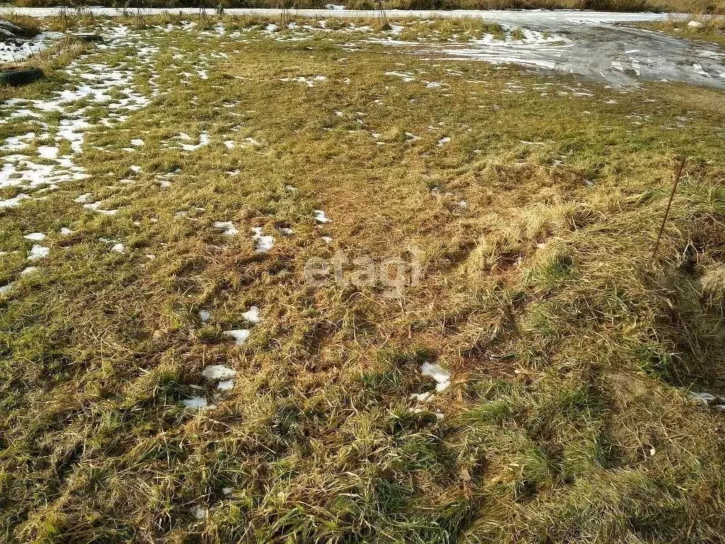 Участок в Новосибирская область, Новосибирский район, с. Толмачево ... - Фото 0