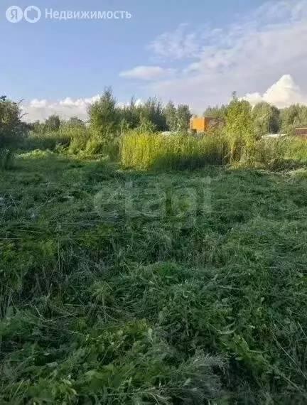 Участок в Калининград, СНТ Мелиоратор, улица Берёзовая Роща (6.6 м) - Фото 1