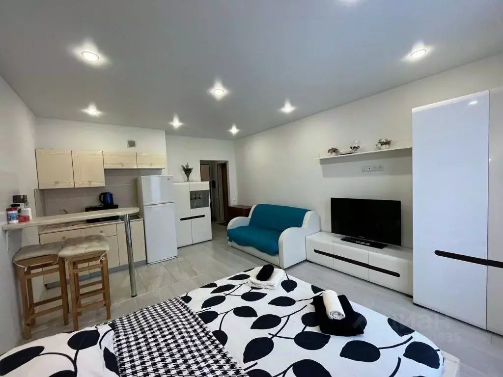 1-к кв. Московская область, Ногинск Богородский городской округ, ул. ... - Фото 1