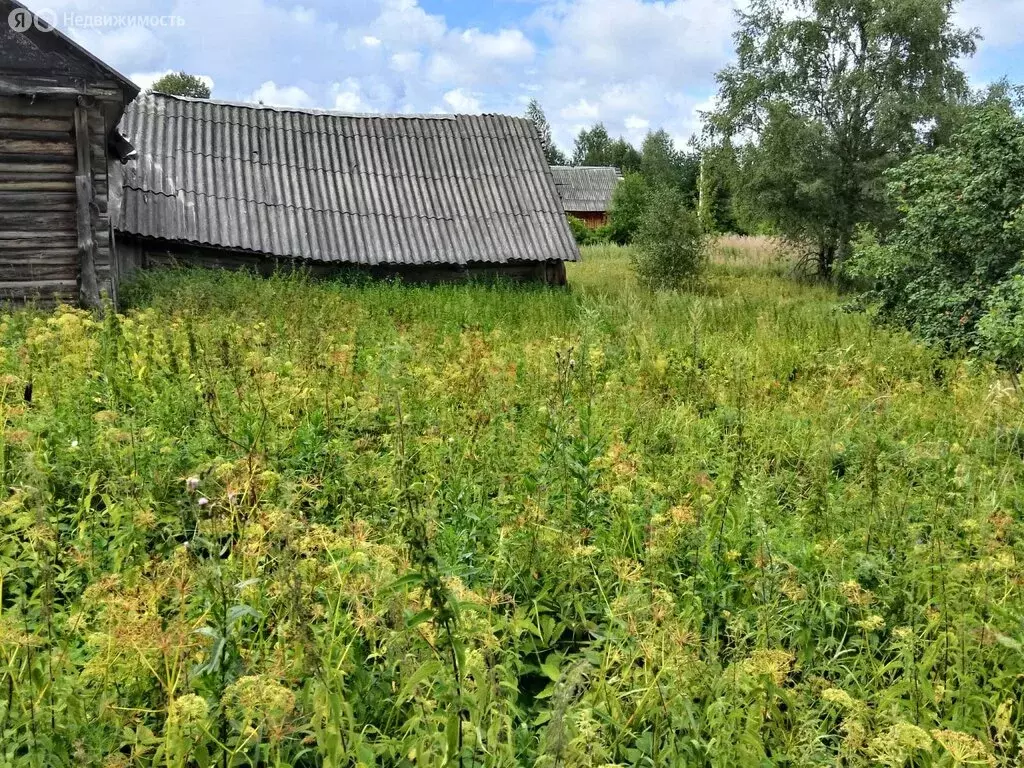 Участок в Рощинское сельское поселение, деревня Байнёво, Центральная ... - Фото 1