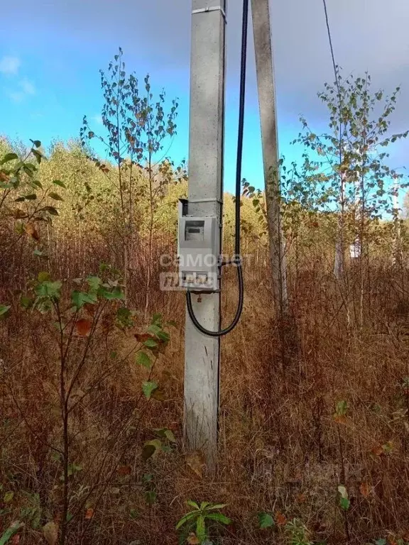 Участок в Пермский край, Пермский муниципальный округ, Карагай СНТ ул. ... - Фото 2