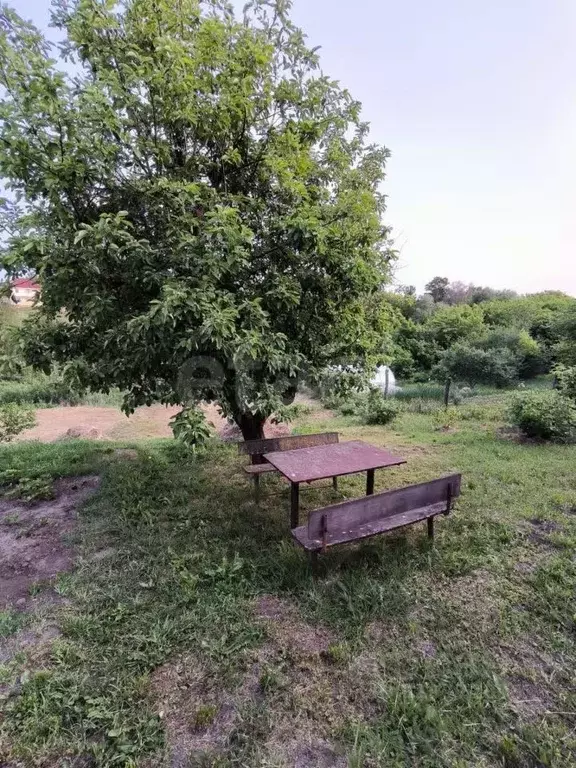 Дом в Владимирская область, Муром с. Дмитриевская Слобода, ул. ... - Фото 1