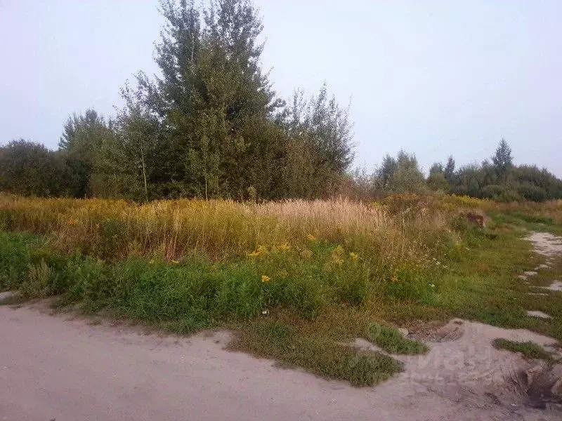 Участок в Калининградская область, Калининград пос. Чайковского, ул. ... - Фото 2