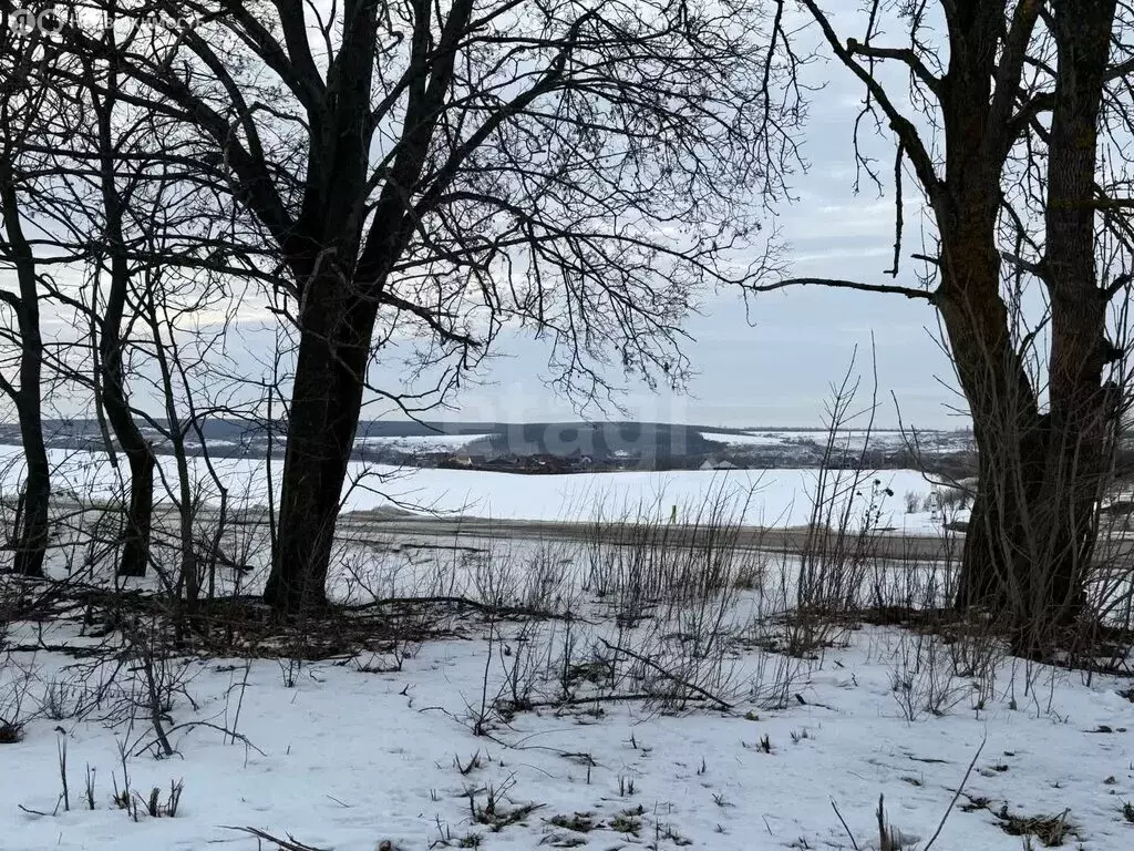 Участок в Белгородская область, Шебекинский муниципальный округ, ... - Фото 2