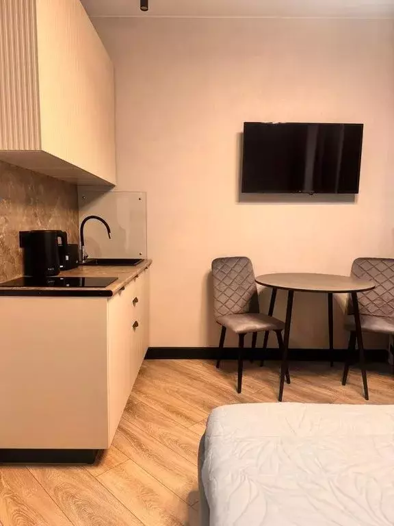 Студия Санкт-Петербург ул. Черняховского, 56 (22.0 м) - Фото 1
